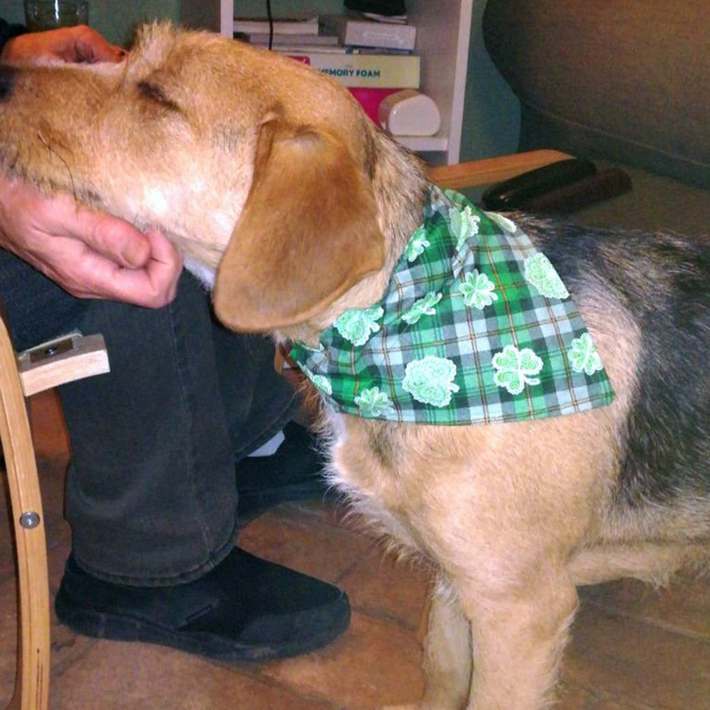 Dog or Cat Bandana For Small Large Dogs Green Lucky Clover Dog Bibs Scarf Washable Cozy Cotton St. Patrick's Day Pet Saliva Accessories