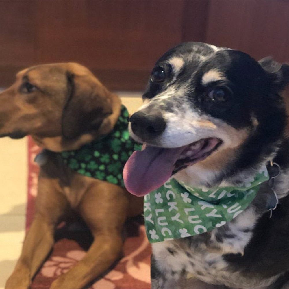 Dog or Cat Bandana For Small Large Dogs Green Lucky Clover Dog Bibs Scarf Washable Cozy Cotton St. Patrick's Day Pet Saliva Accessories