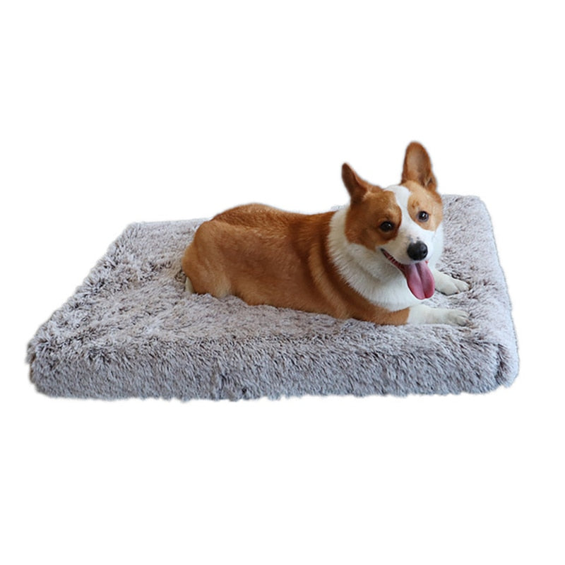 Plush Dog Bed Mat Cat Beds for Small Medium Large Dogs Removable for Cleaning Puppy Cushion Super Soft Claming Dog Beds Pet Bed