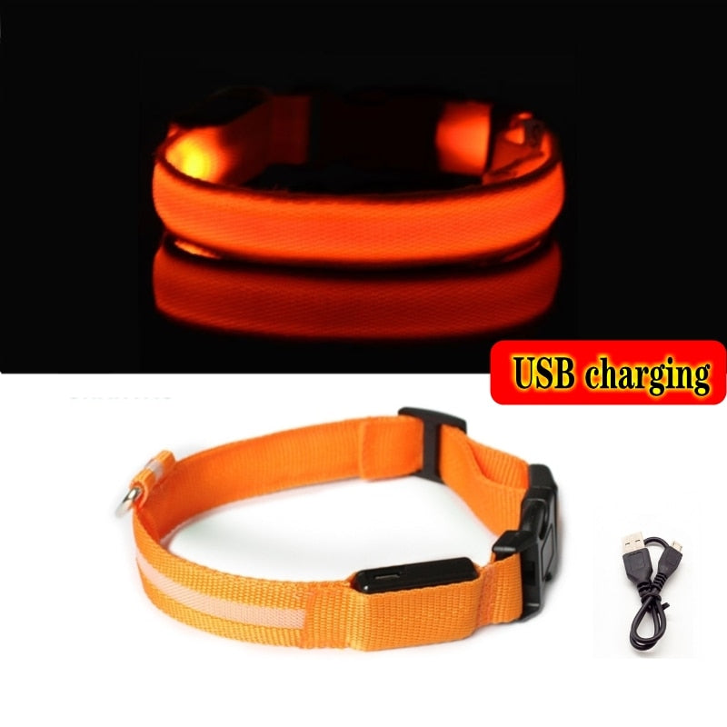 LED Dog Collar Light Anti-lost Collar For Dogs Puppies  Night Luminous Supplies Pet Products Accessories USB Charging/Battery.  Find your Dog if Lost.  Great for dog walking at night time!