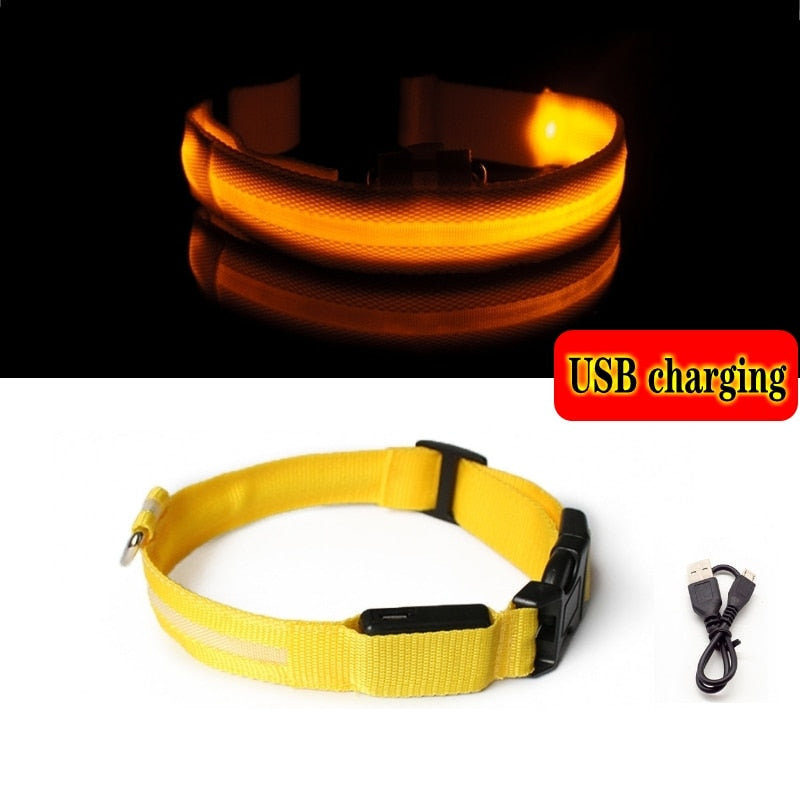 LED Dog Collar Light Anti-lost Collar For Dogs Puppies  Night Luminous Supplies Pet Products Accessories USB Charging/Battery.  Find your Dog if Lost.  Great for dog walking at night time!