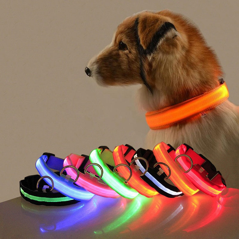 LED Dog Collar Light Anti-lost Collar For Dogs Puppies  Night Luminous Supplies Pet Products Accessories USB Charging/Battery.  Find your Dog if Lost.  Great for dog walking at night time!