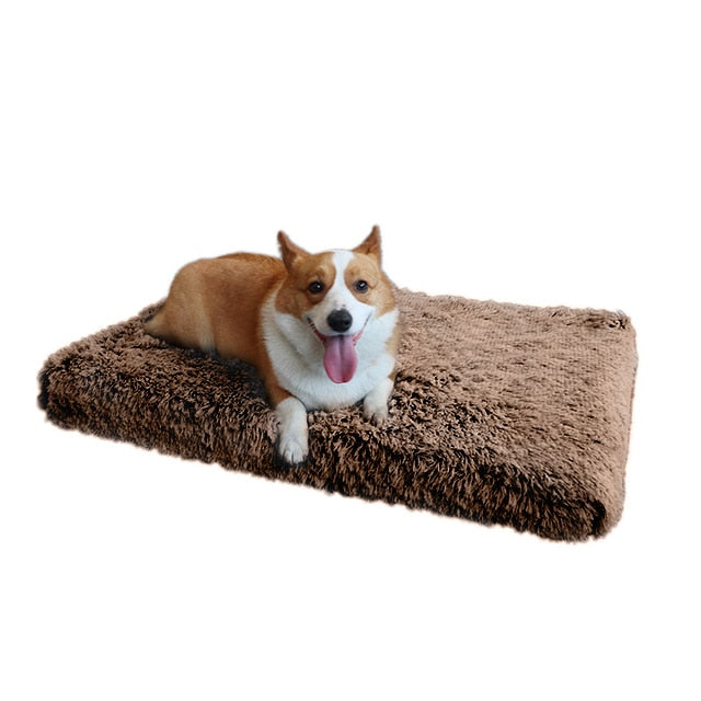 Plush Dog Bed Mat Cat Beds for Small Medium Large Dogs Removable for Cleaning Puppy Cushion Super Soft Claming Dog Beds Pet Bed