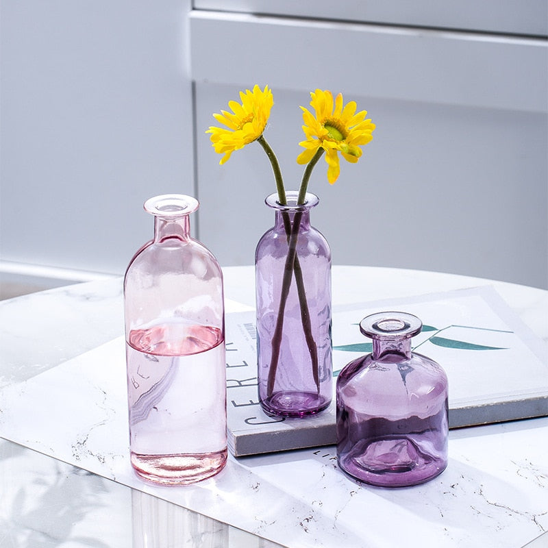 Glass Vase Living Room Dried Flowers Nordic Ins Style Glass Transparent Dill Home Decoration Accessories Flower Vases For Homes