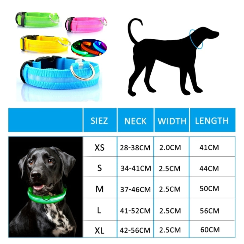 LED Dog Collar Light Anti-lost Collar For Dogs Puppies  Night Luminous Supplies Pet Products Accessories USB Charging/Battery.  Find your Dog if Lost.  Great for dog walking at night time!