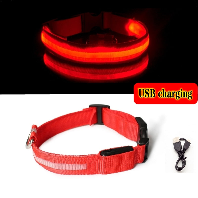 LED Dog Collar Light Anti-lost Collar For Dogs Puppies  Night Luminous Supplies Pet Products Accessories USB Charging/Battery.  Find your Dog if Lost.  Great for dog walking at night time!