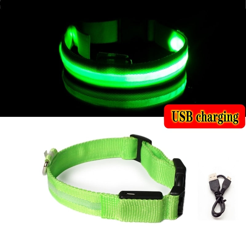 LED Dog Collar Light Anti-lost Collar For Dogs Puppies  Night Luminous Supplies Pet Products Accessories USB Charging/Battery.  Find your Dog if Lost.  Great for dog walking at night time!