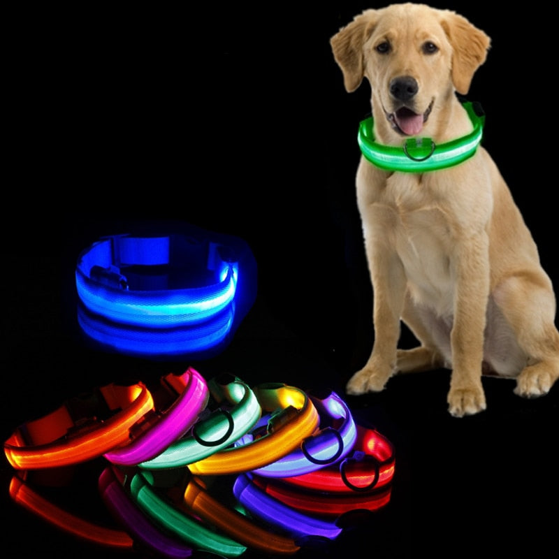 LED Dog Collar Light Anti-lost Collar For Dogs Puppies  Night Luminous Supplies Pet Products Accessories USB Charging/Battery.  Find your Dog if Lost.  Great for dog walking at night time!